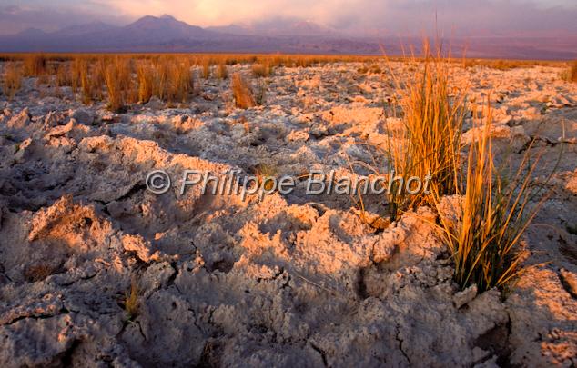 chili 09.jpg - Coucher du soleil sur le Salar d'AtacamaChili